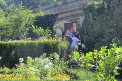 35-2016-08-25 Firenze 01 35-2016-08-25 Firenze 01